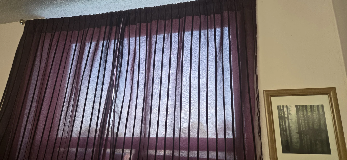 Sheer maroon Curtains with Velvet Stripes