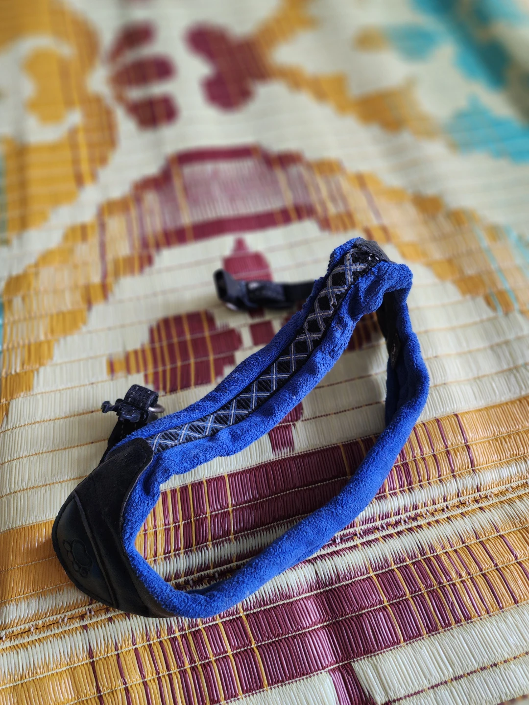 Blue Dog Harness