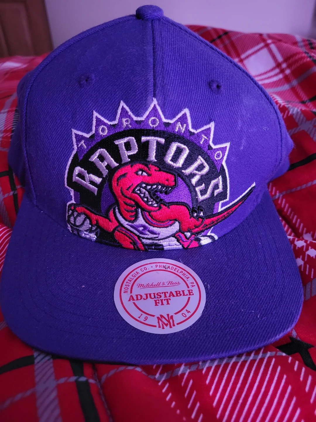 Toronto Raptors Mitchell & Ness Adjustable Fit Cap