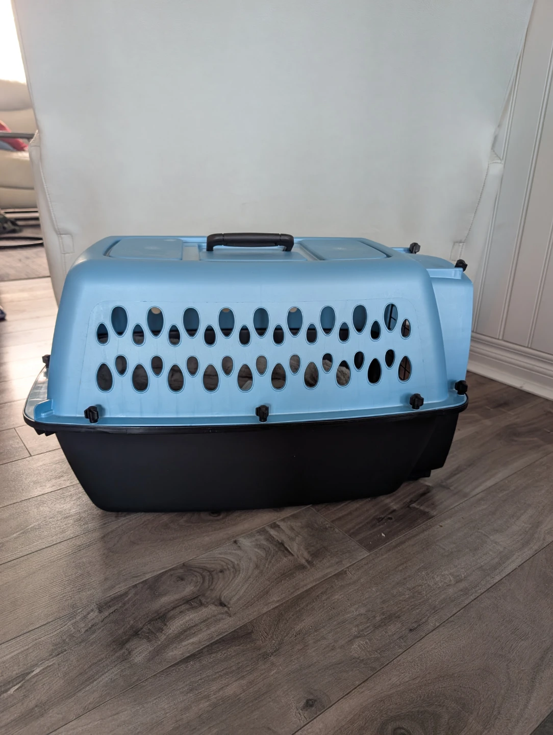 Blue Pet Carrier with Bed