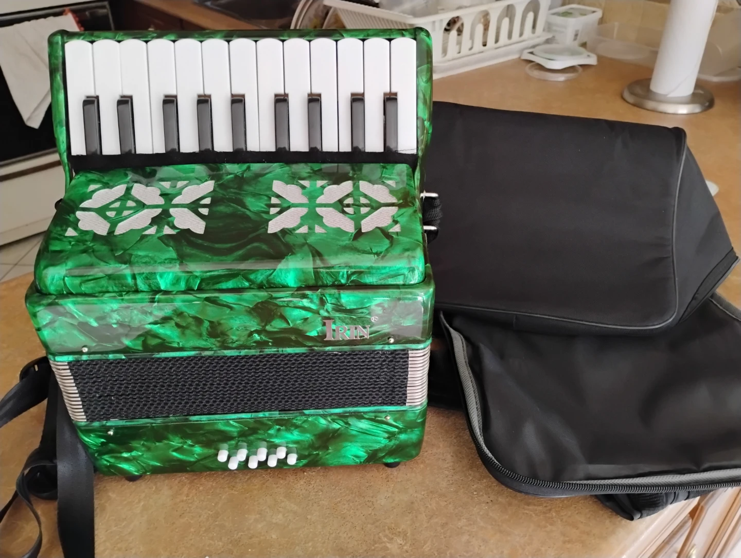 Vintage accordion