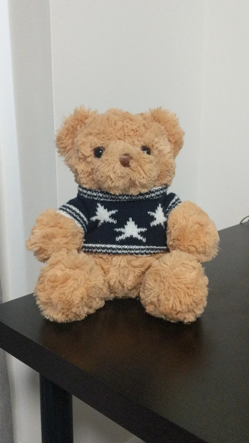 Teddy Bear with Navy Star Sweater