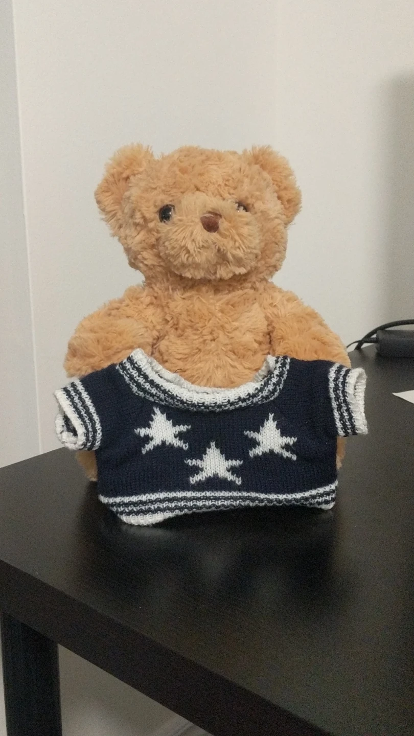 Teddy Bear with Navy Star Sweater - photo 3