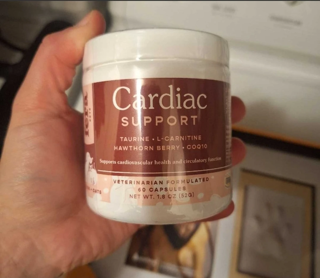 Cardiac Support Supplement for Cats/Dogs - 60 Capsules