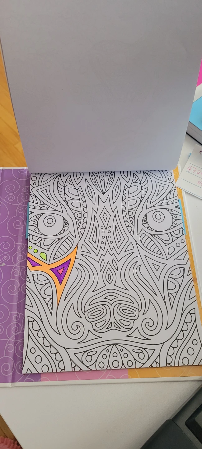 Mystical Coloring Book with Glitter Markers & Glues - photo 3