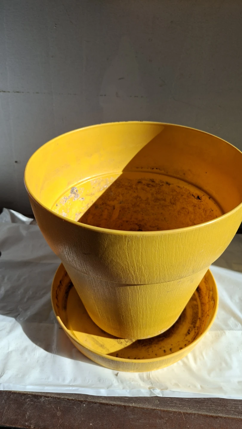 Yellow Plastic Planter Pot with Saucer