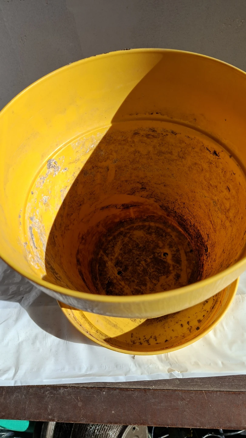 Yellow Plastic Planter Pot with Saucer - photo 2
