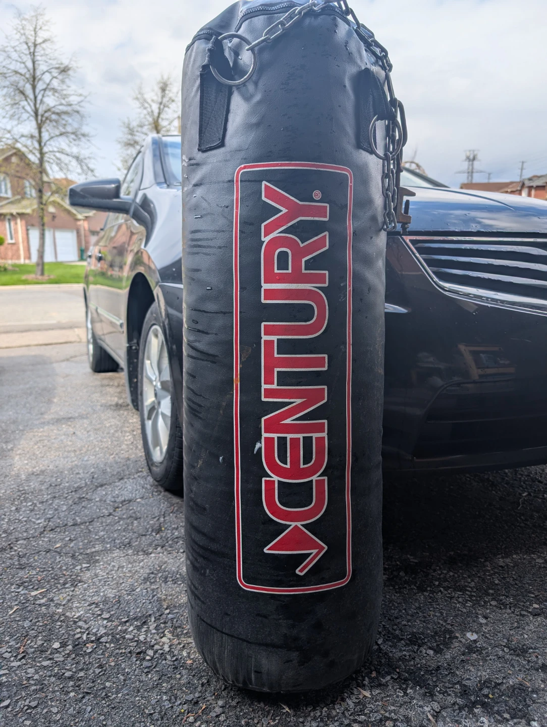Century Punching Bag