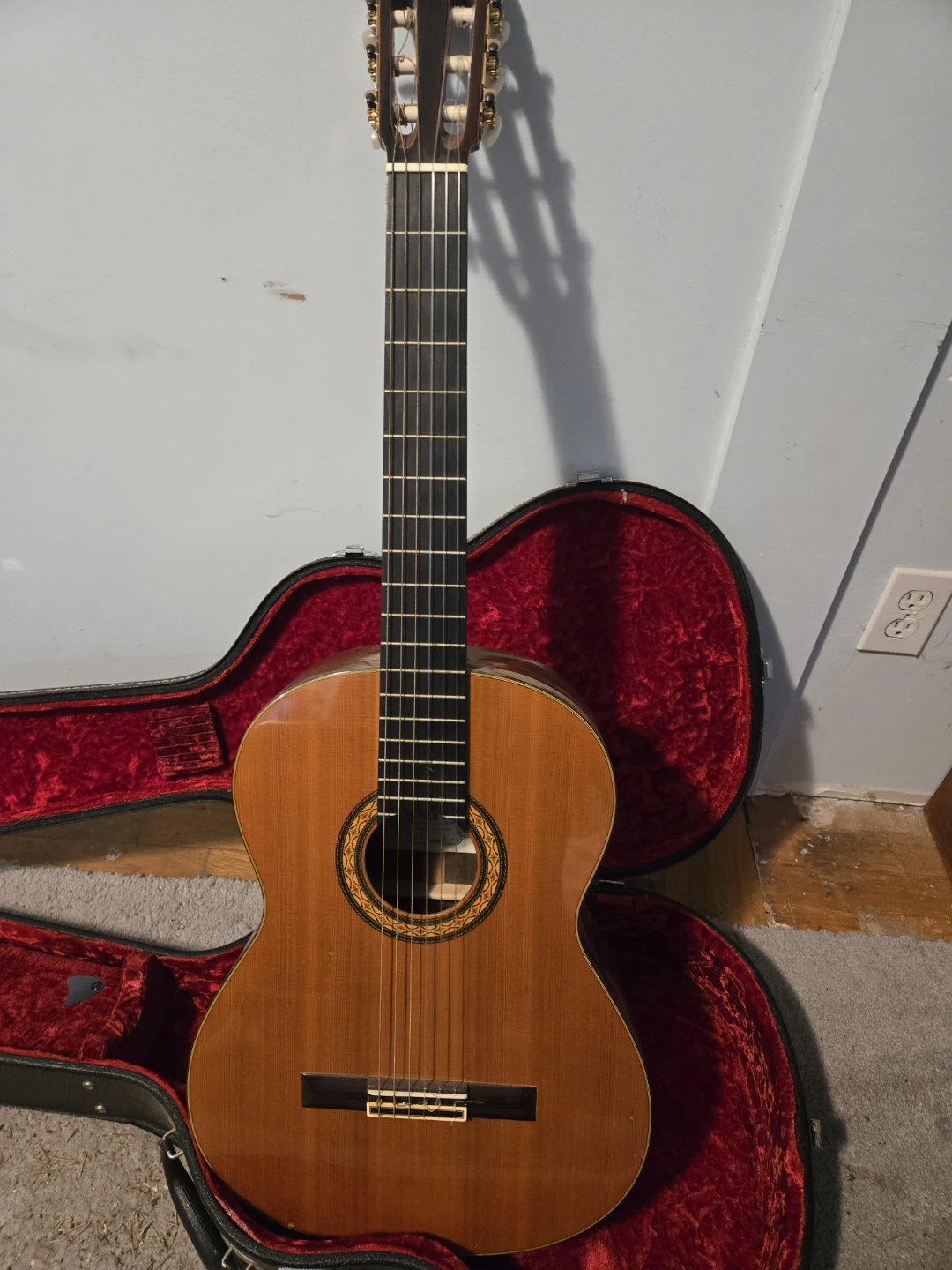 Acoustic Guitar with Hard Case