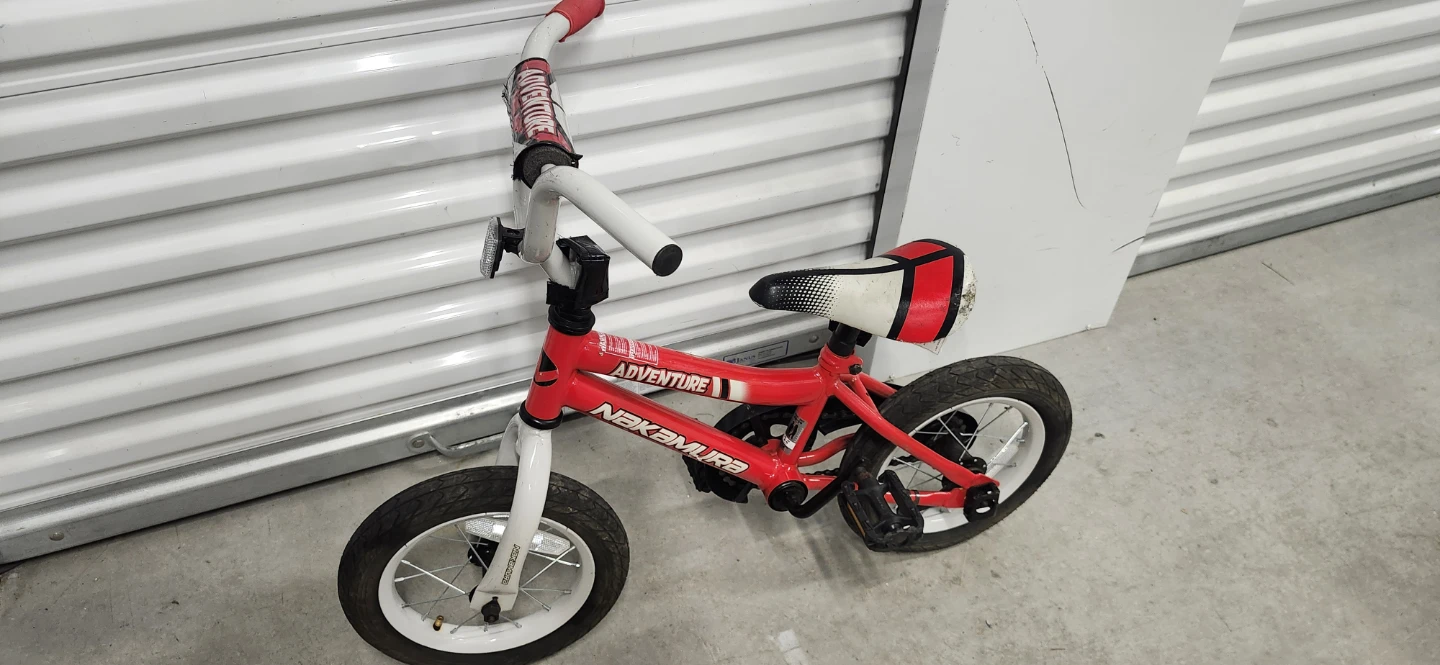 12" tire kids bike