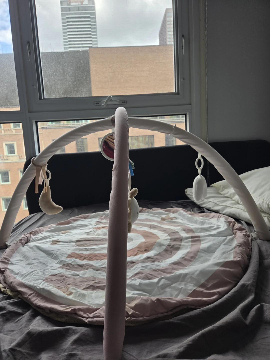 Baby Play Gym with Mat - photo 2