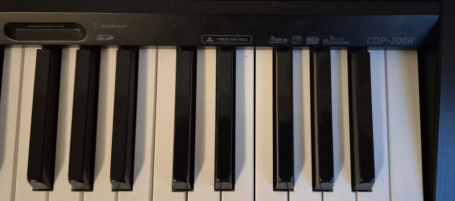 Casio CDP-200R Digital Piano - photo 3