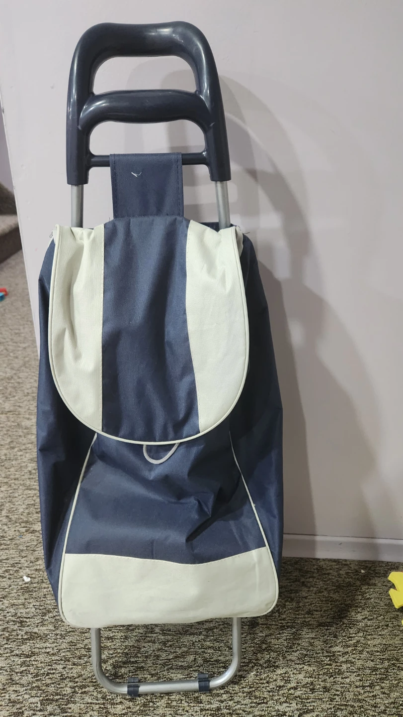 Blue and white shopping trolley bag