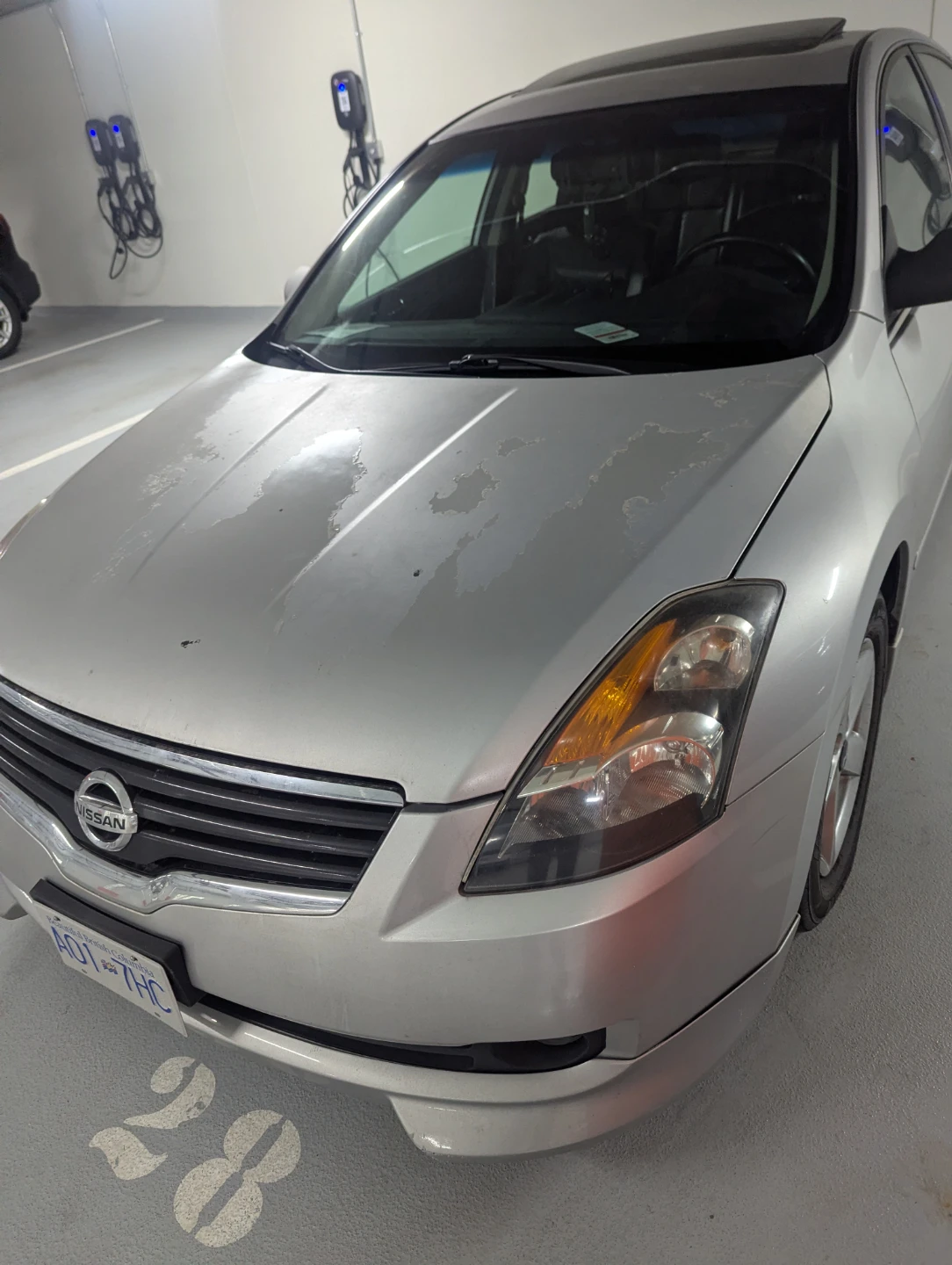 Silver Nissan Altima Sedan - photo 4