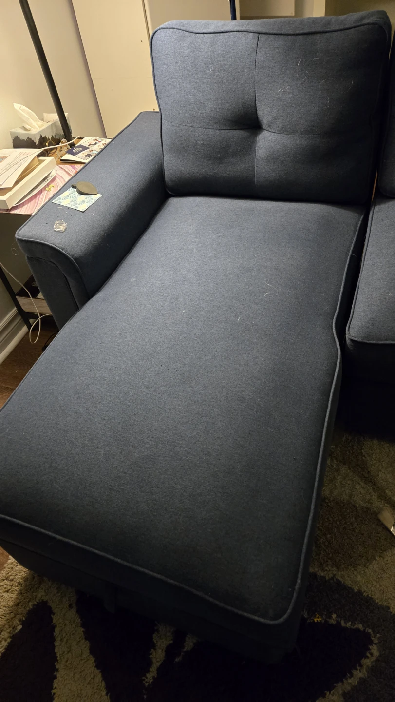 Sleeper Sectional with Storage Chaise - Blue