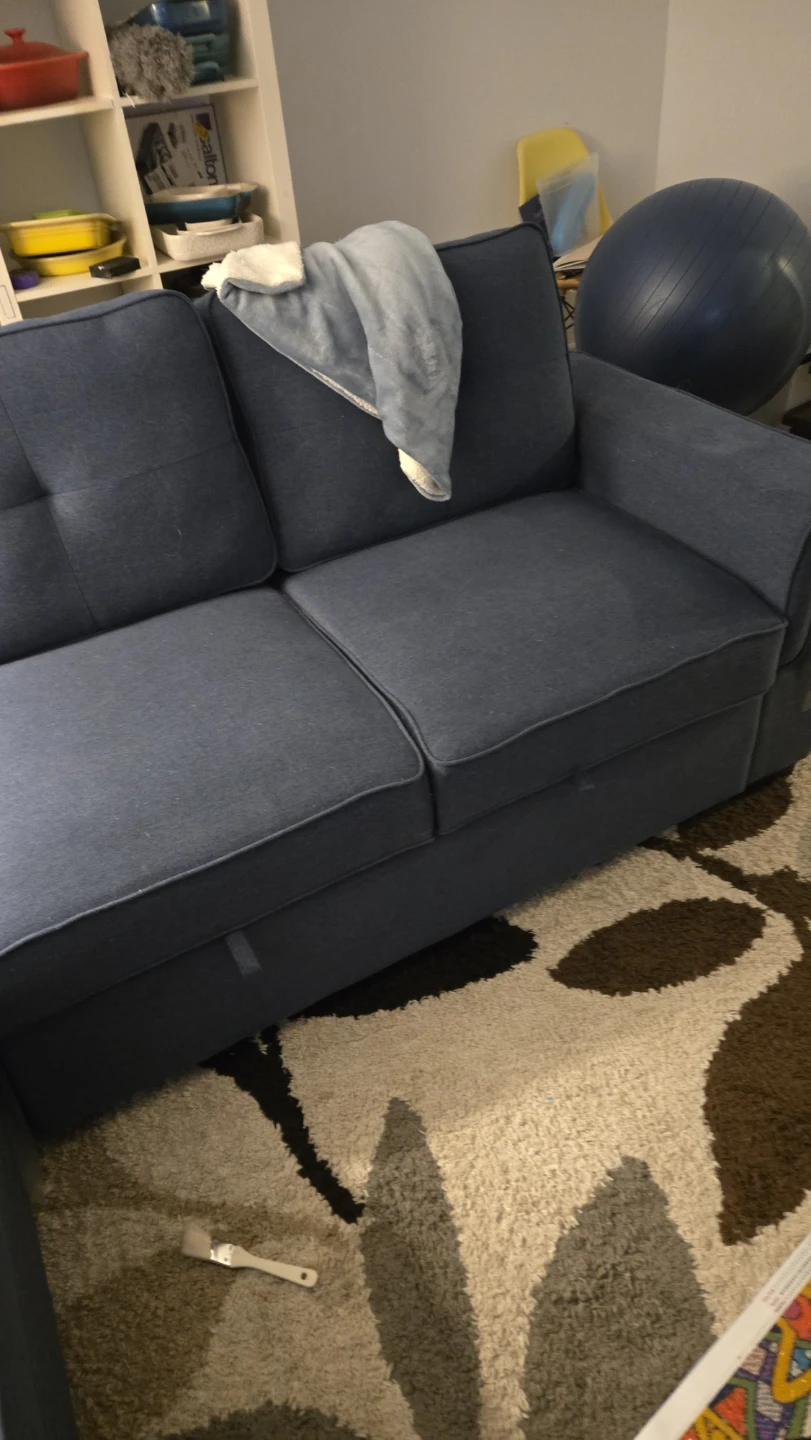 Sleeper Sectional with Storage Chaise - Blue - photo 2