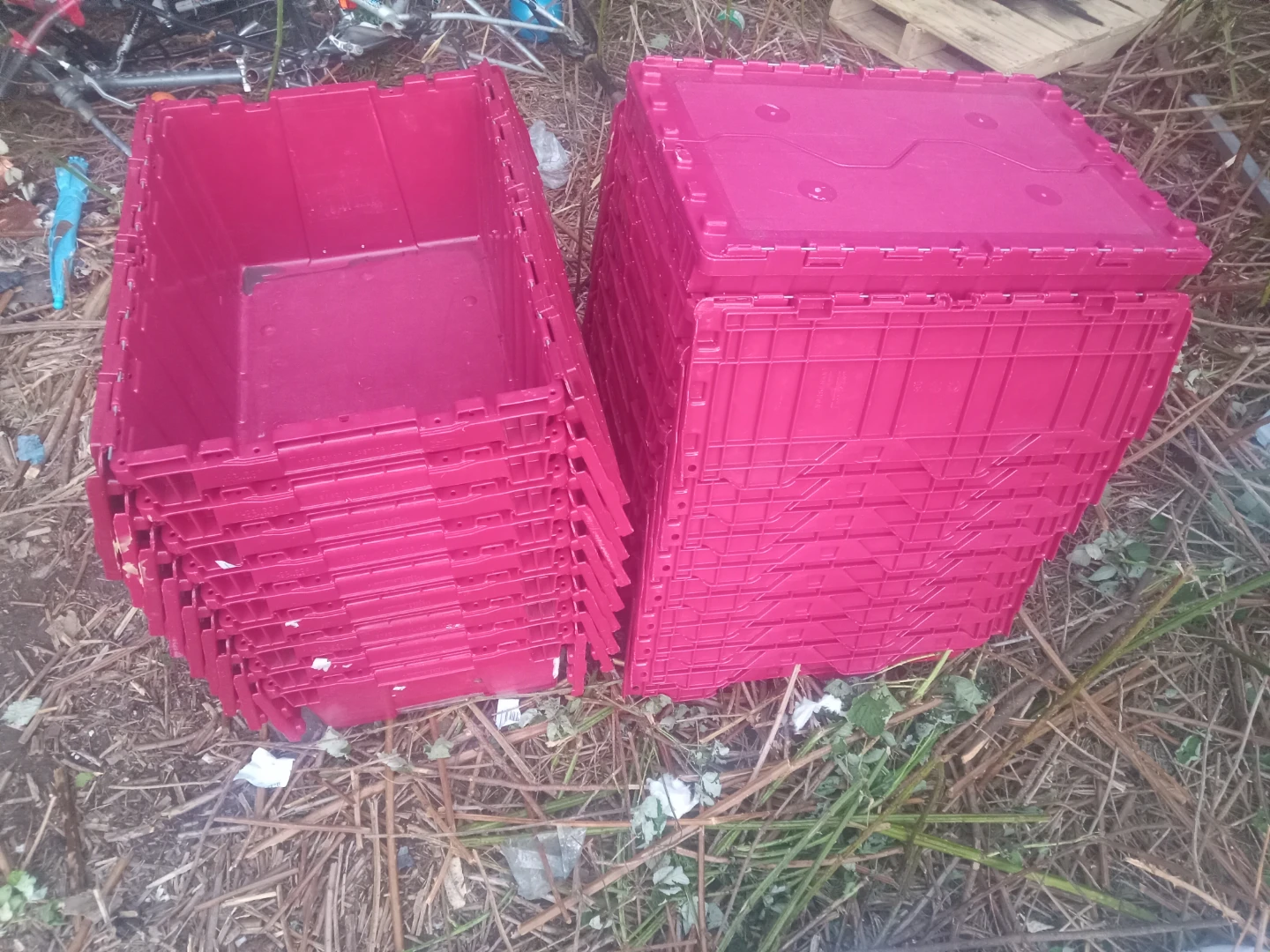 Pink Stackable Storage Totes with Lids