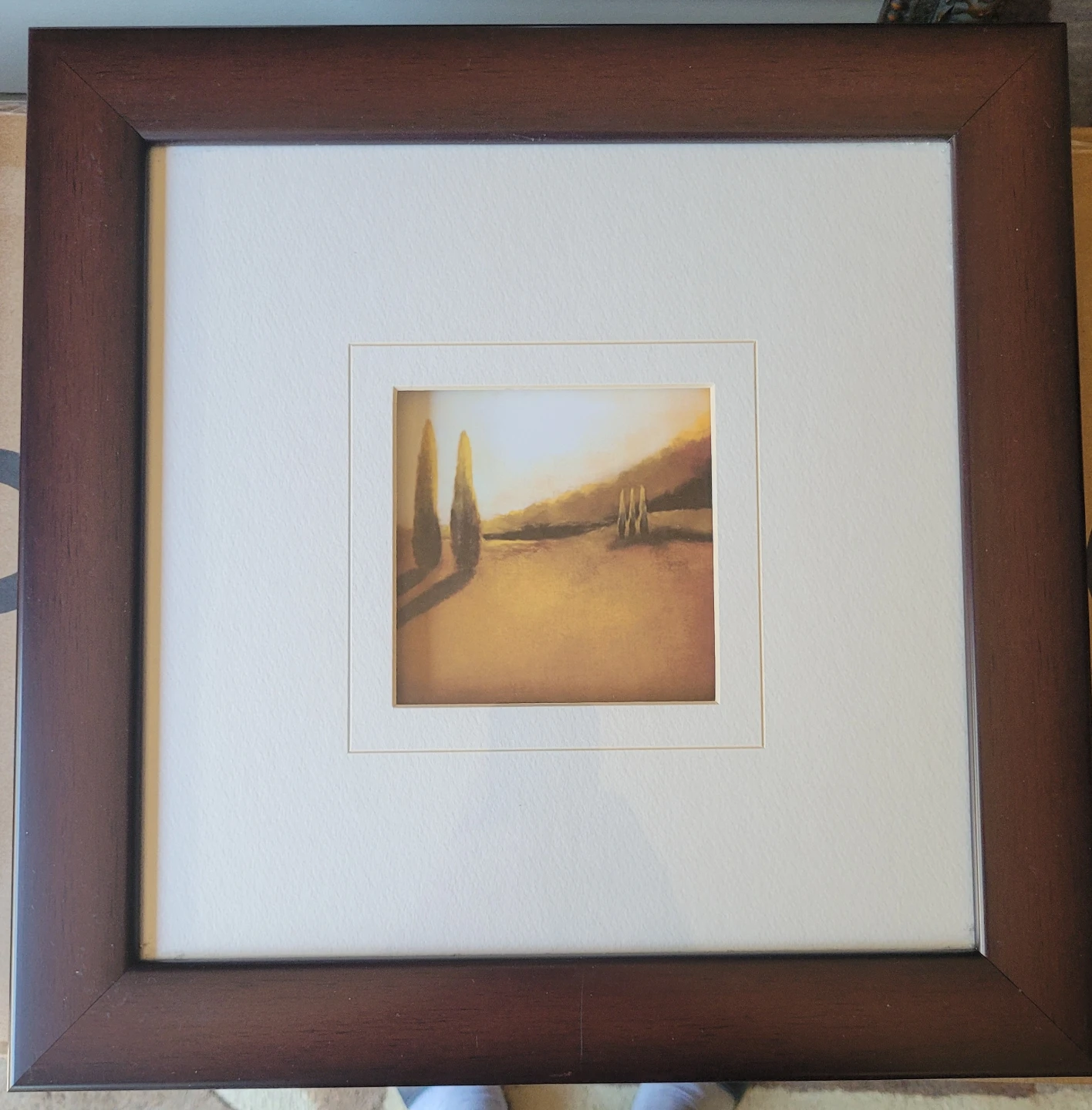 Framed Landscape Art Print