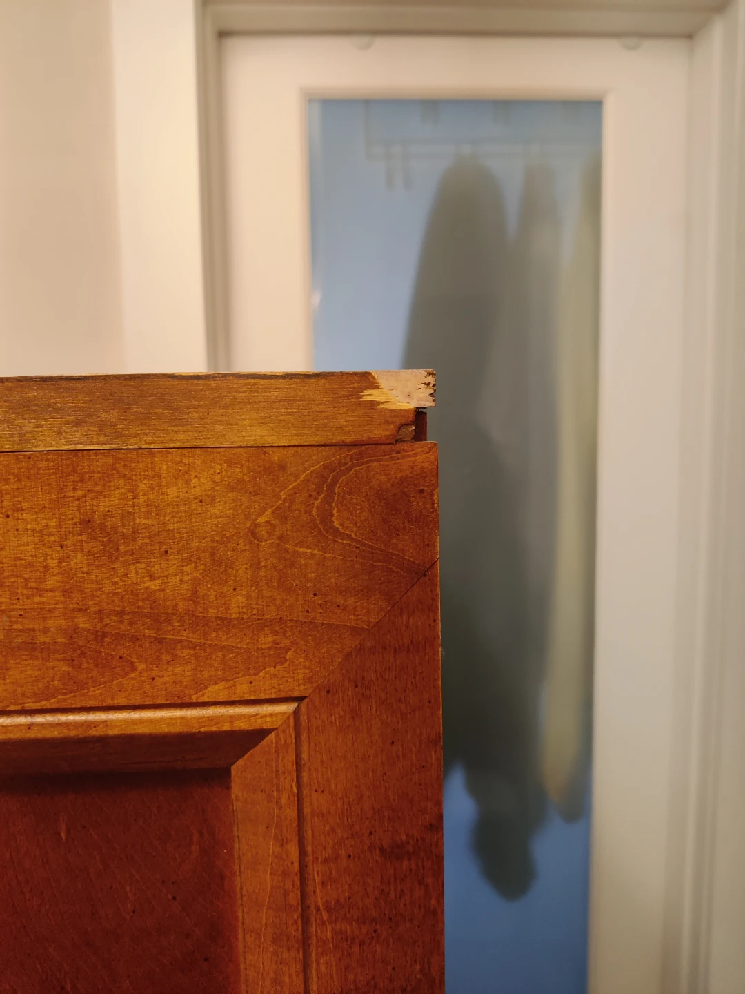 Wooden Cabinet with Interior Light - photo 2