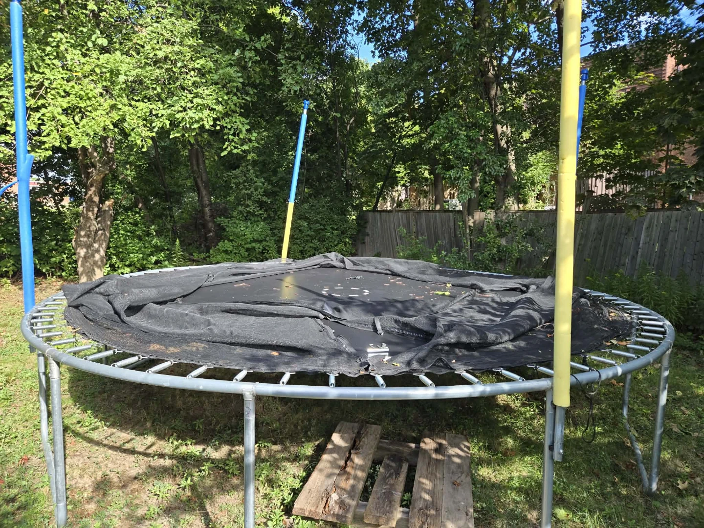 Trampoline