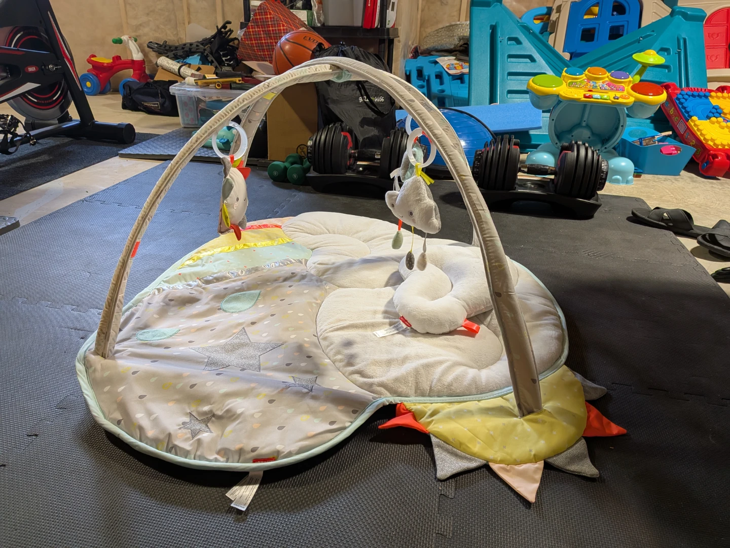 Skip Hop Activity Gym