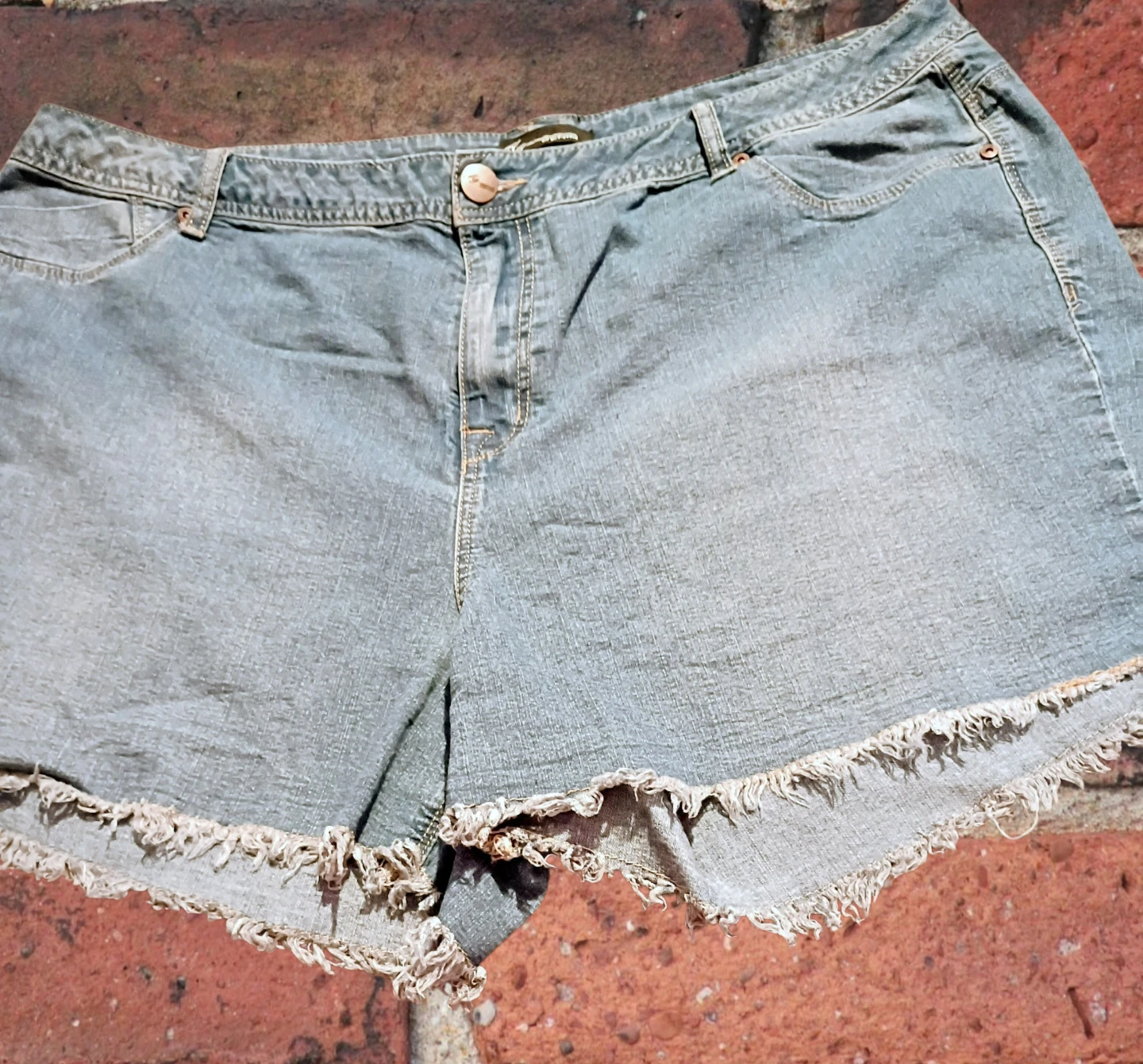 Women's jean shorts by Adriano Goldschmied (AG) SIZE 22