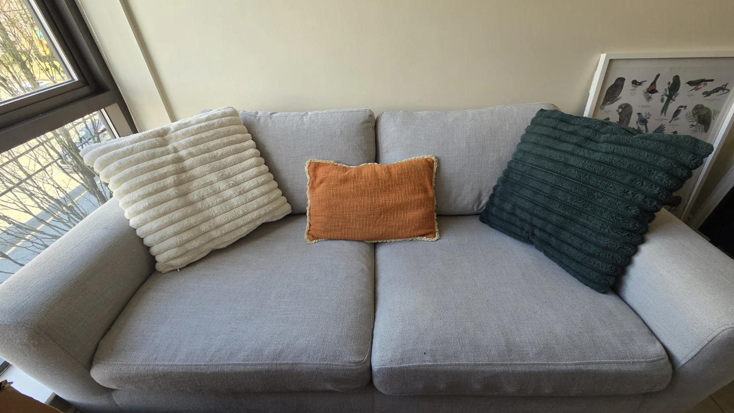 2 Seat Couch/sofa ($325 OBO)