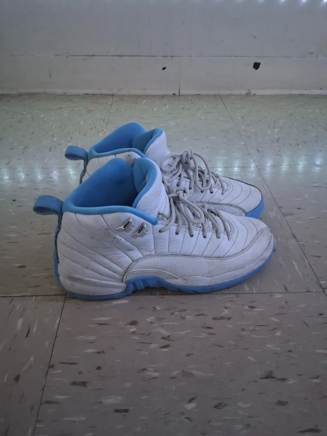 Air Jordan 12 Retro Shoes