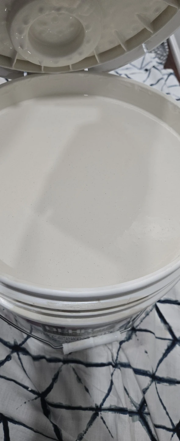 Behr Premium Paint - photo 3