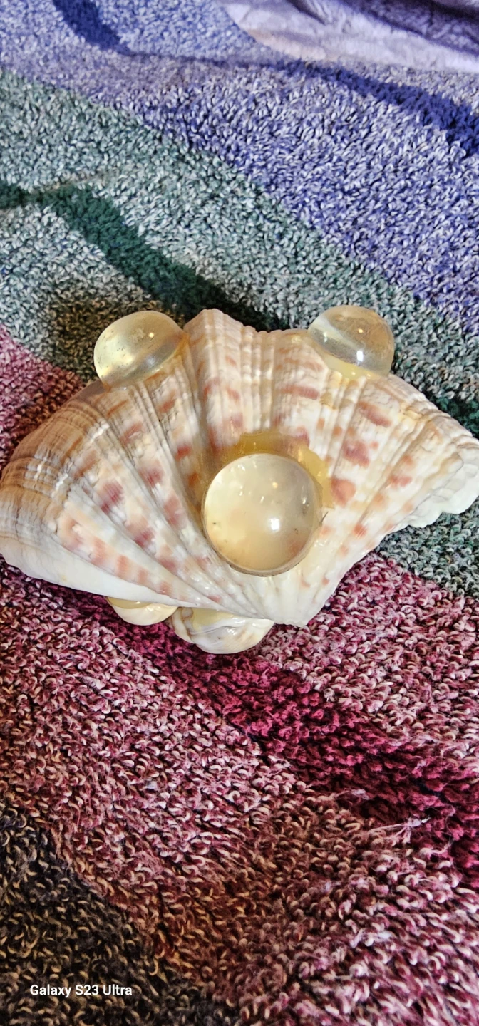 Seashell trinket dish with glass accents - photo 2