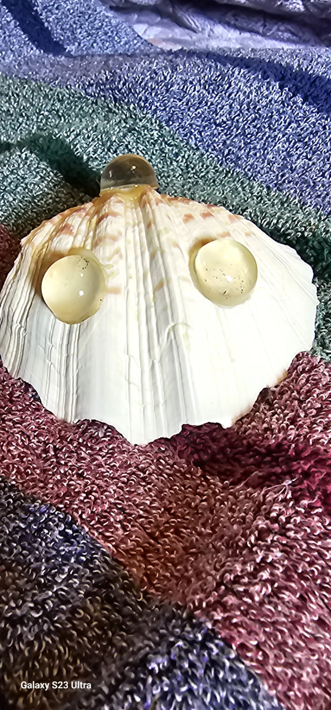 Seashell trinket dish with glass accents - photo 3