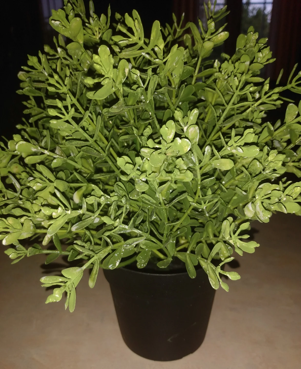 Beautiful Artificial Green Plant in Black Pot