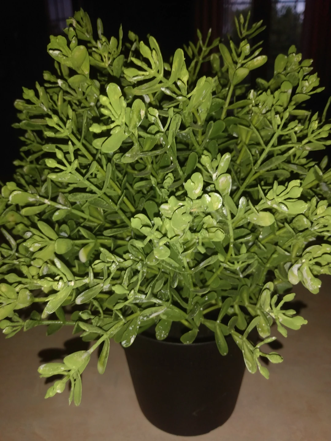 Beautiful Artificial Green Plant in Black Pot - photo 2