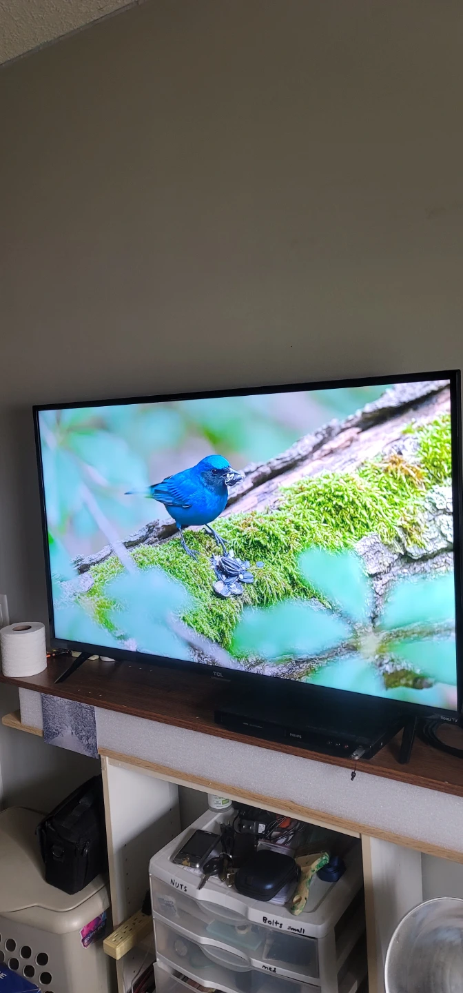 TCL 50" Roku TV - photo 3