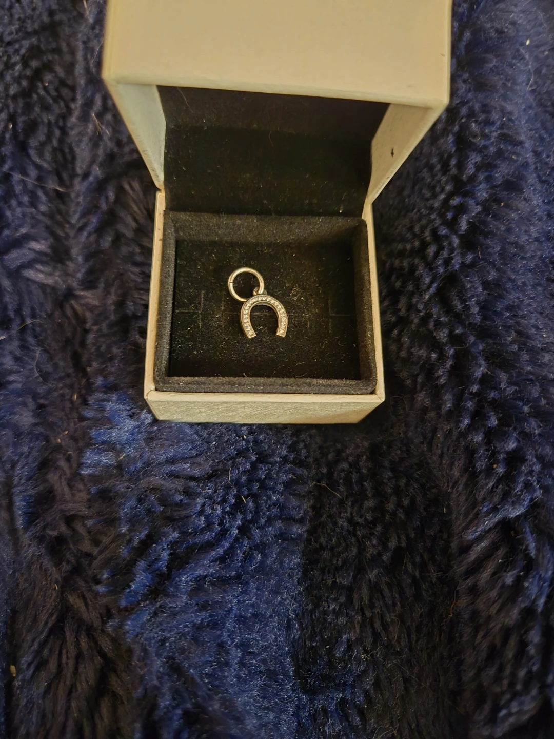 Retired Pandora Charm