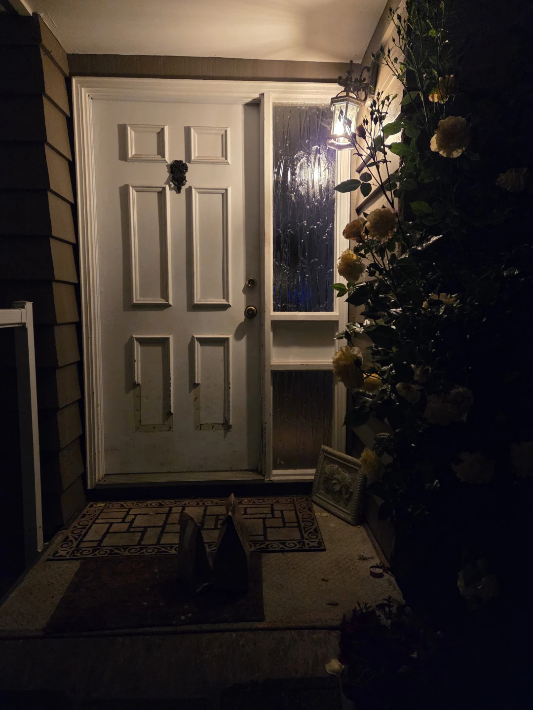 White exterior door with glass panel