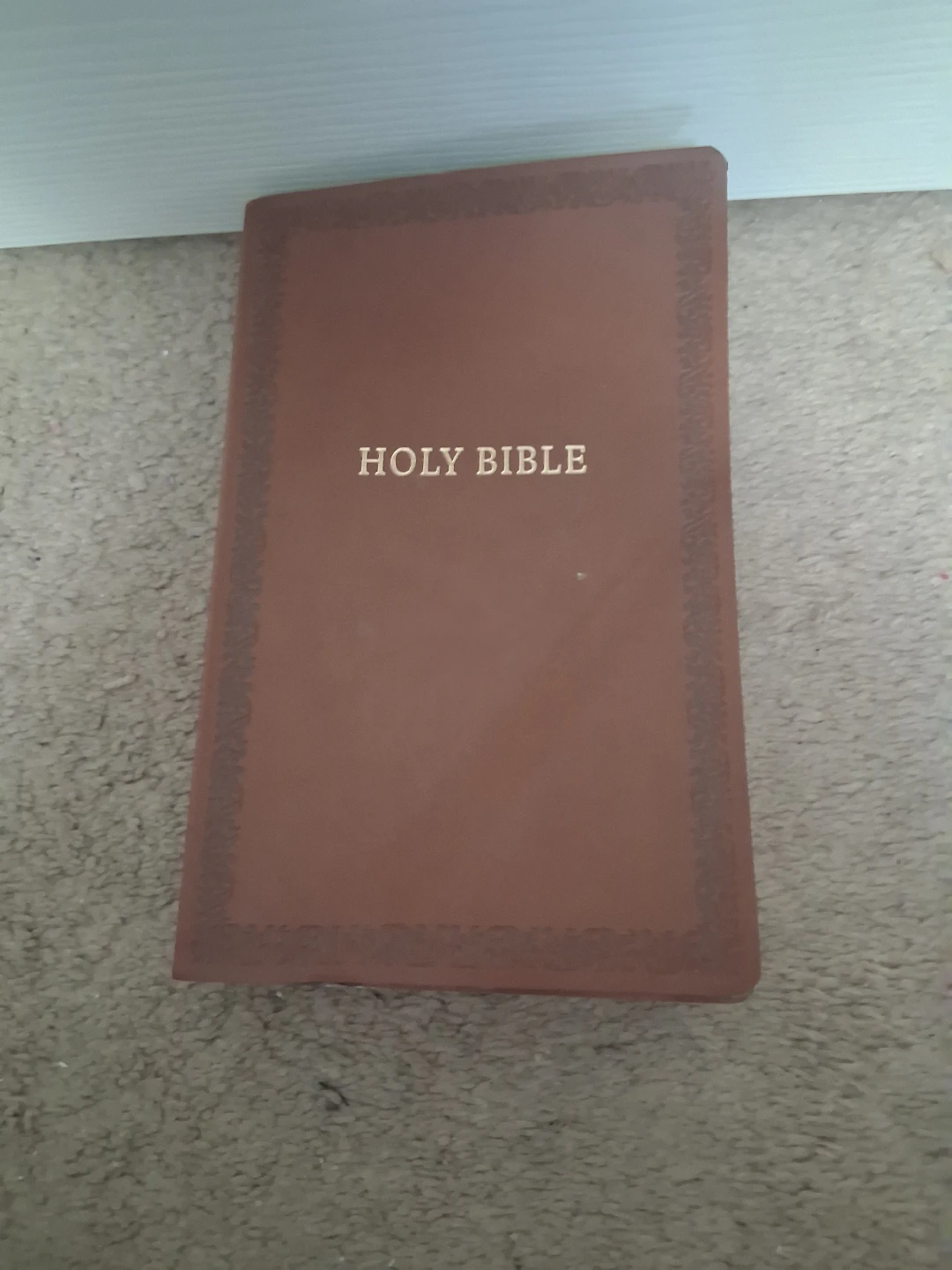 Holy Bible Leathersoft