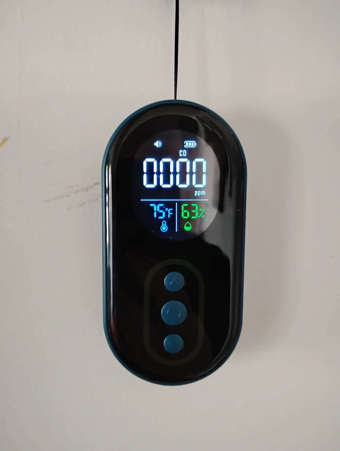 GASDOC DS-399 Carbon Monoxide Detector - photo 2