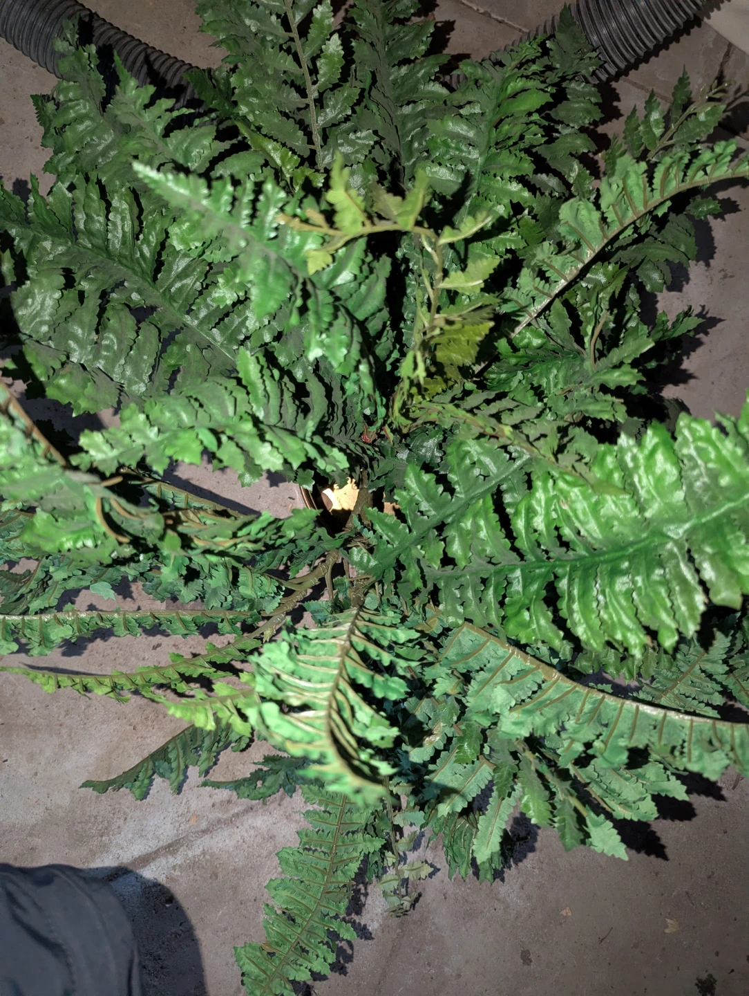 Artificial Fern Plant with vase