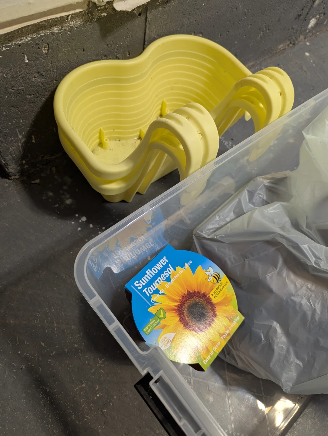 Canalily Tubers, Sunflower kit & Yellow Balcony Planters