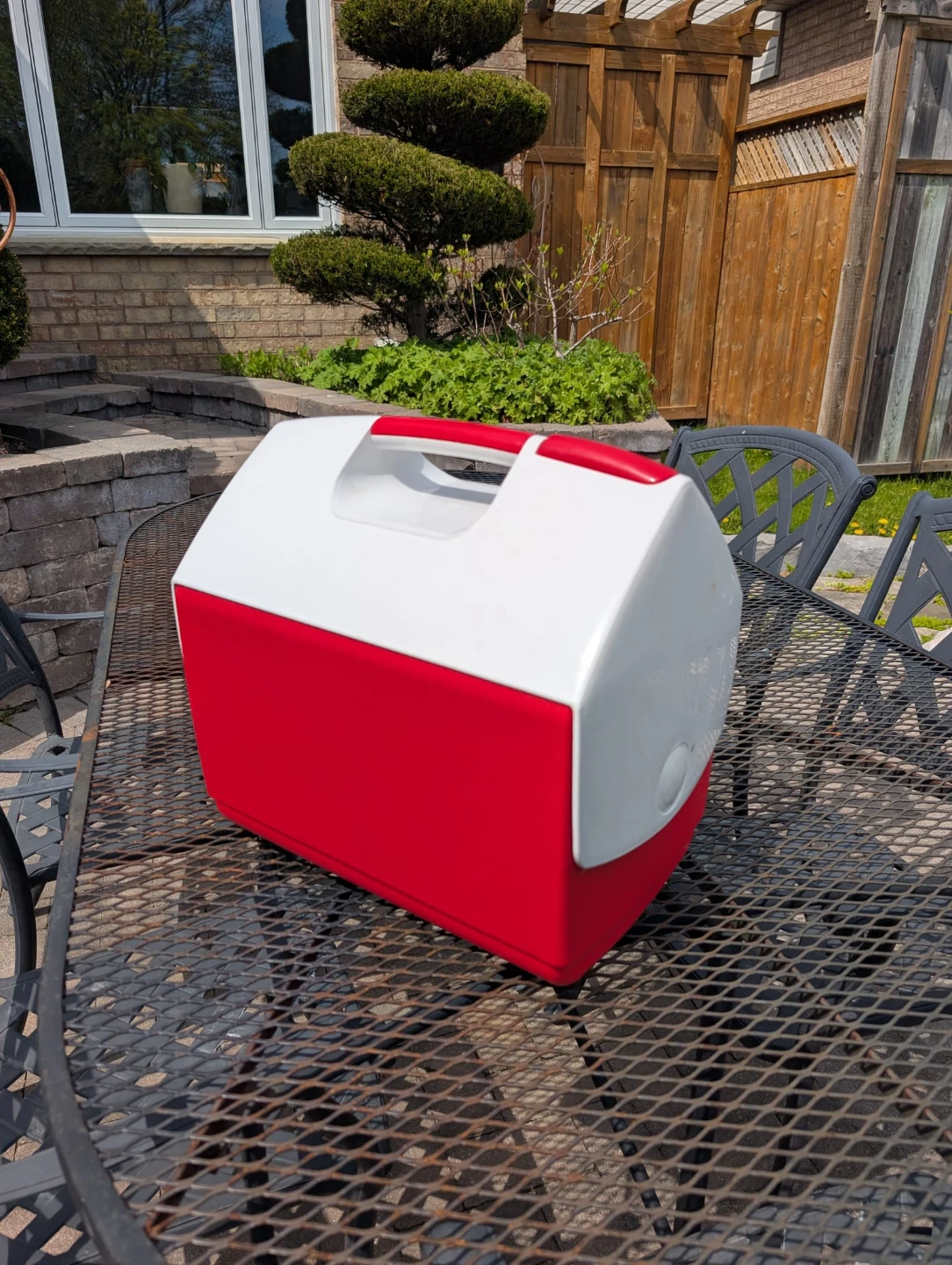 Playmate Elite Cooler By Igloo - photo 2