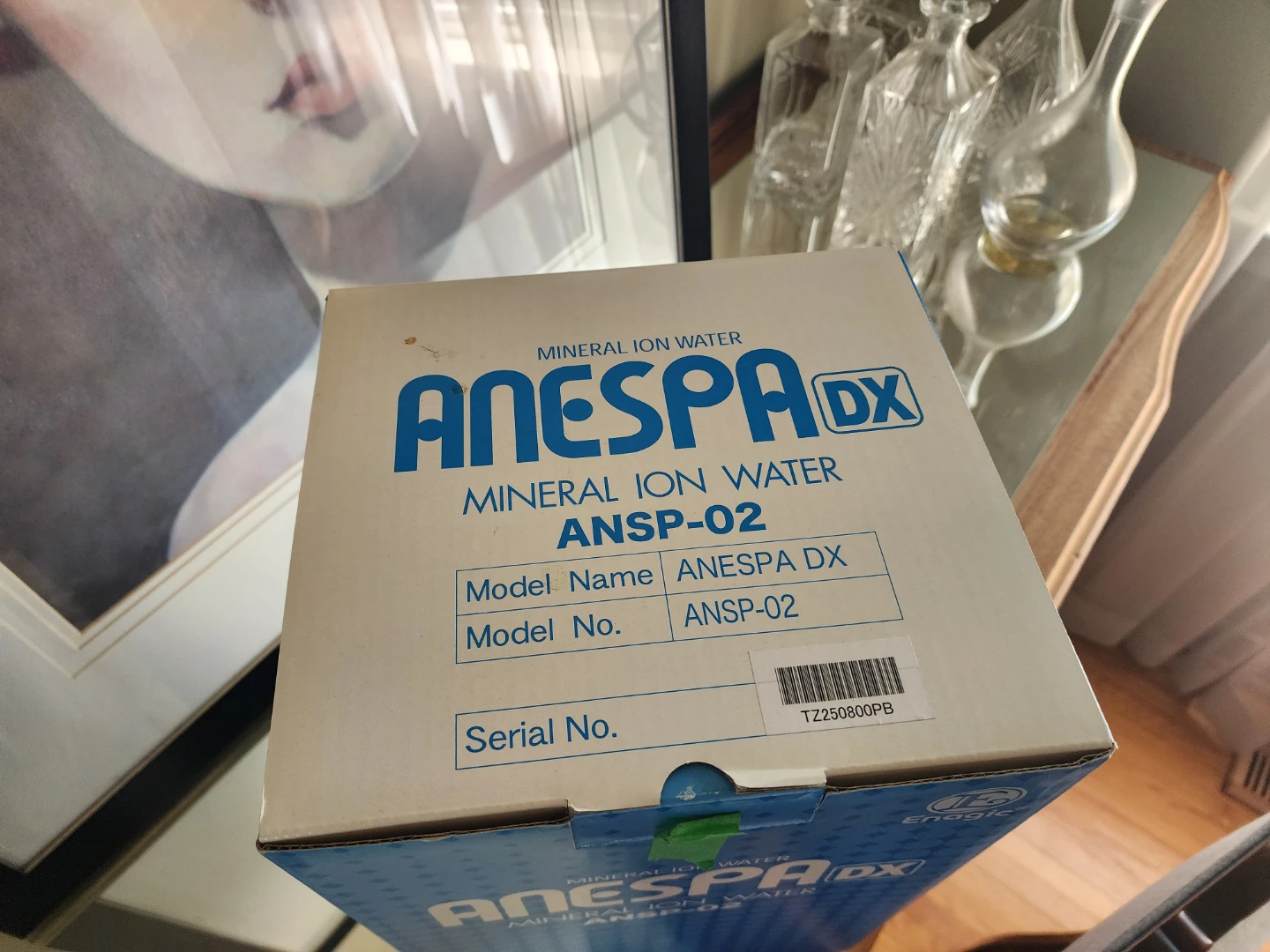 Enagic Anespa DX Mineral Ion Water Activator