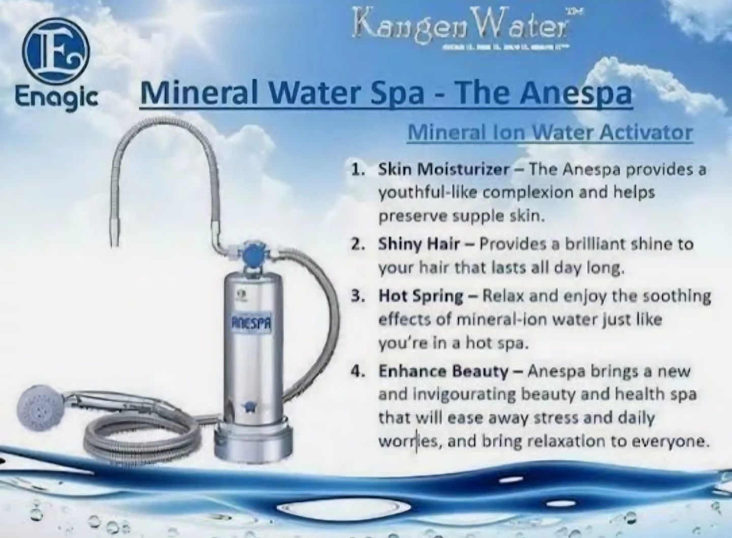 Enagic Anespa DX Mineral Ion Water Activator - photo 3
