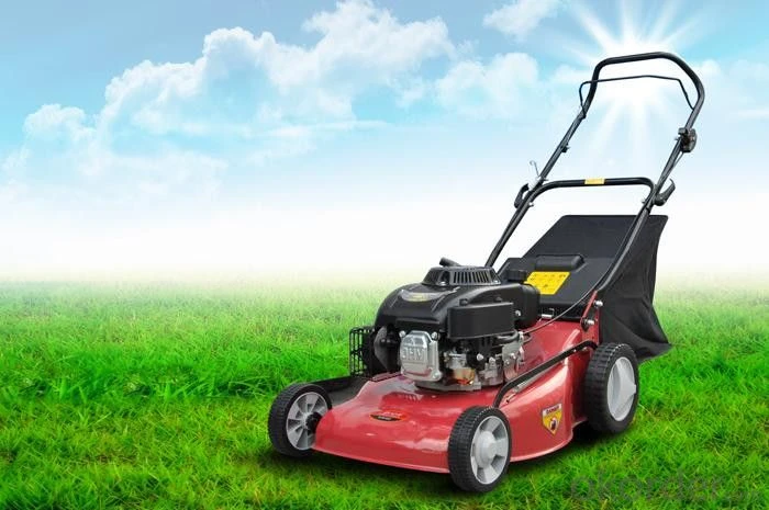 Lawn Mower services