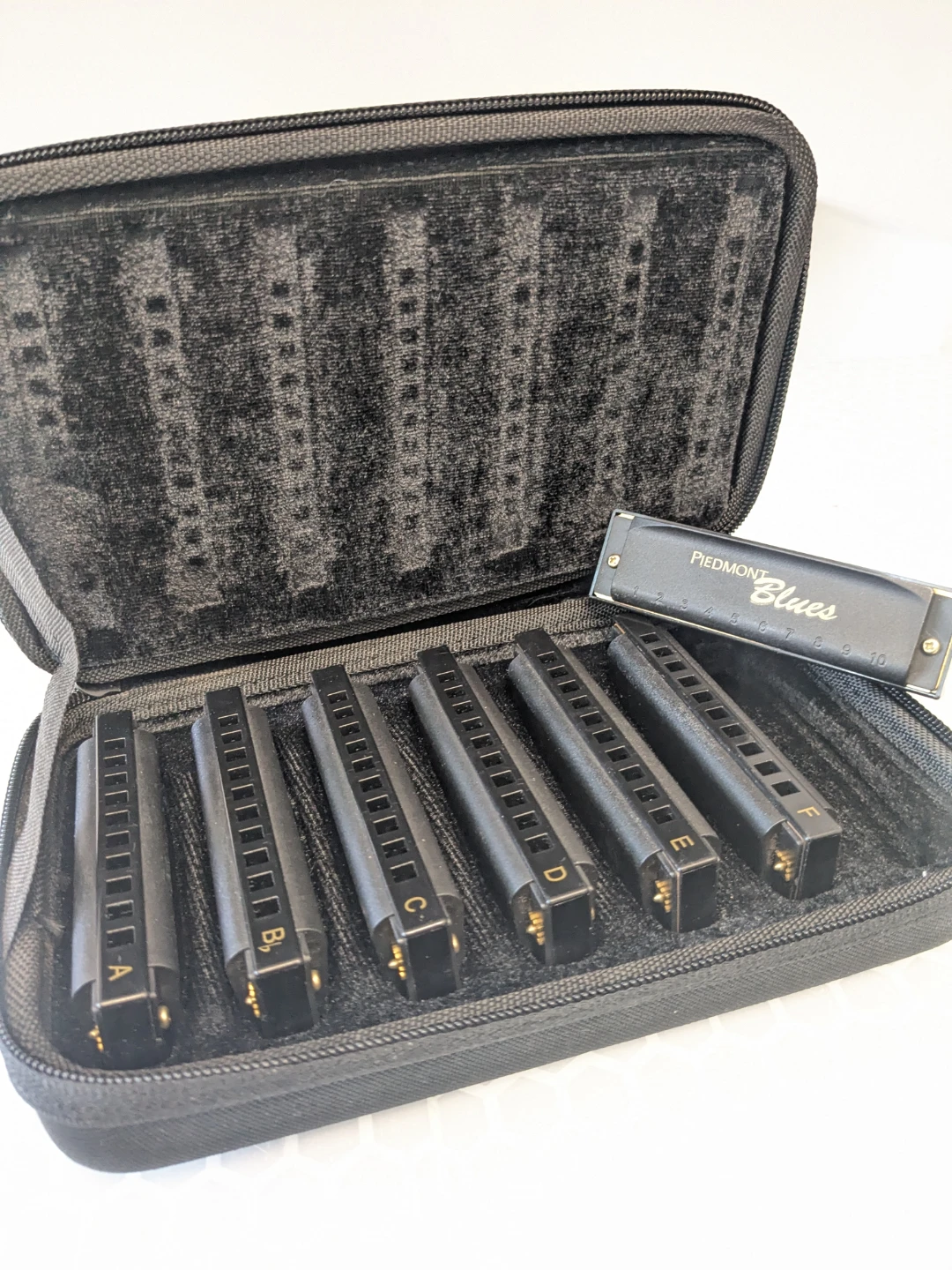 Hohner Piedmont Blues Harmonica 7pcs Set with Carrying Case