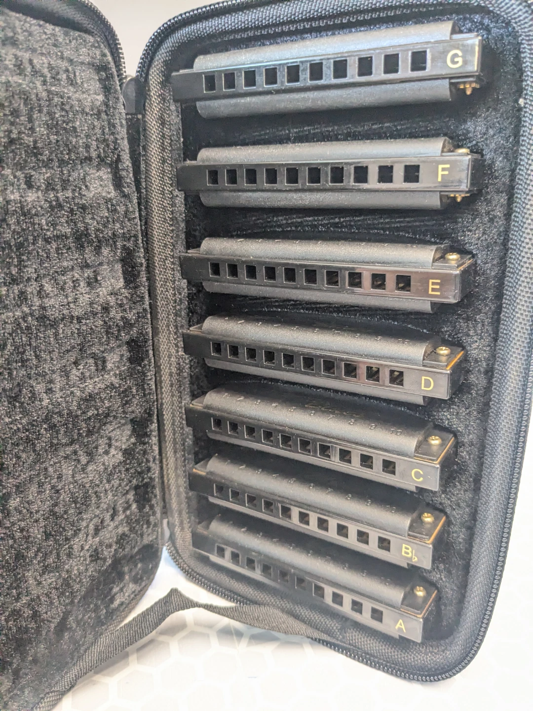 Hohner Piedmont Blues Harmonica 7pcs Set with Carrying Case - photo 3