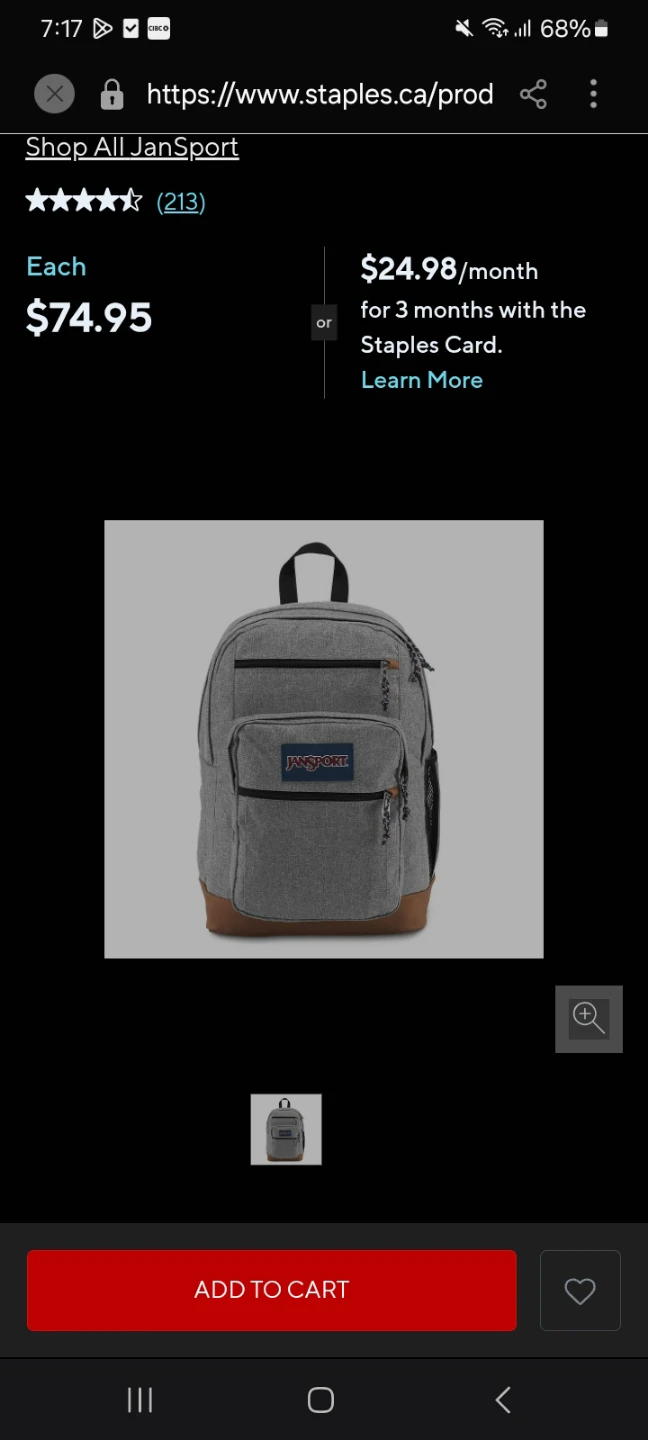 JanSport Backpack Grey - photo 2