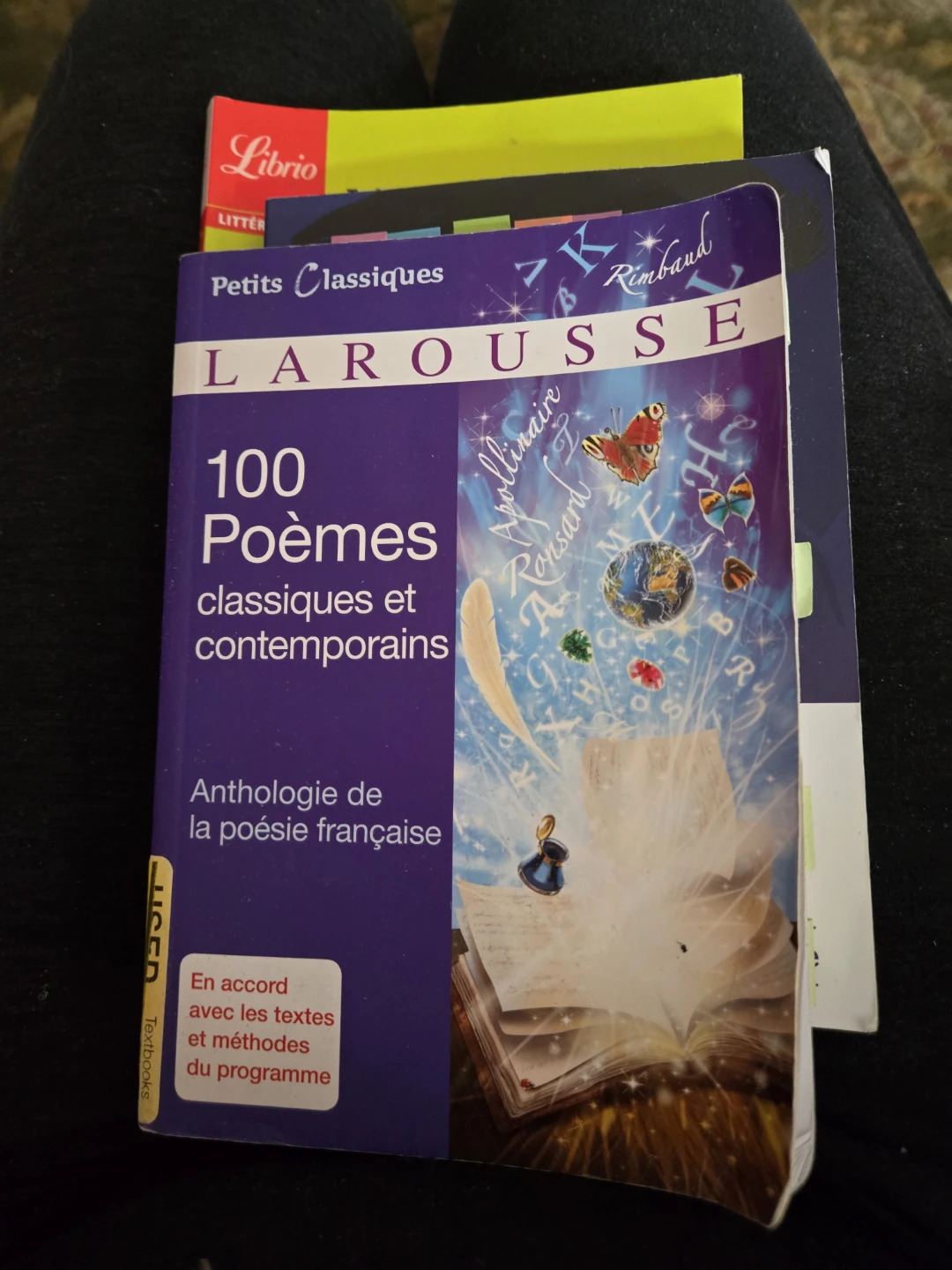 French Books - photo 3