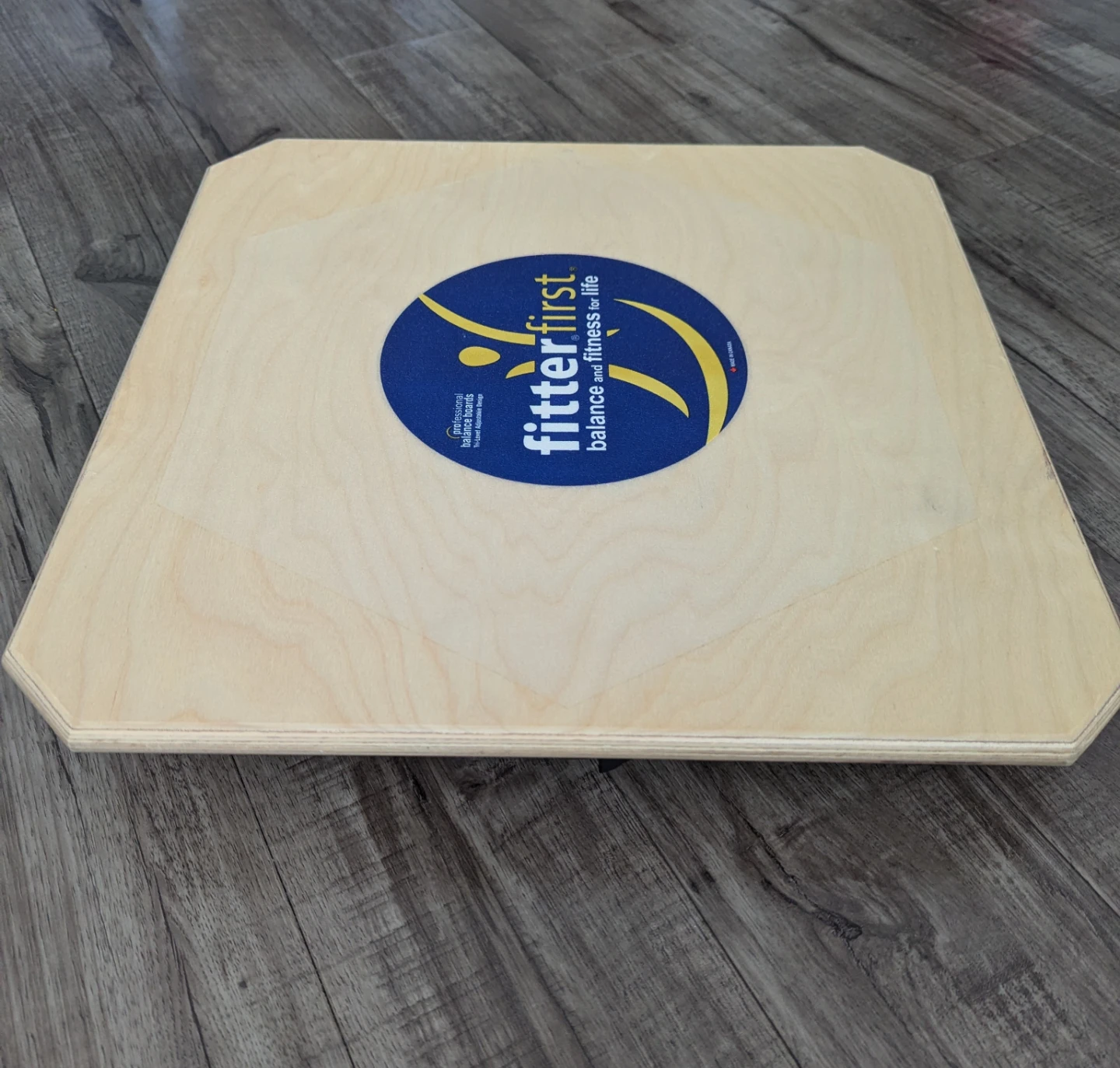 Fitterfirst Professional Balance Board