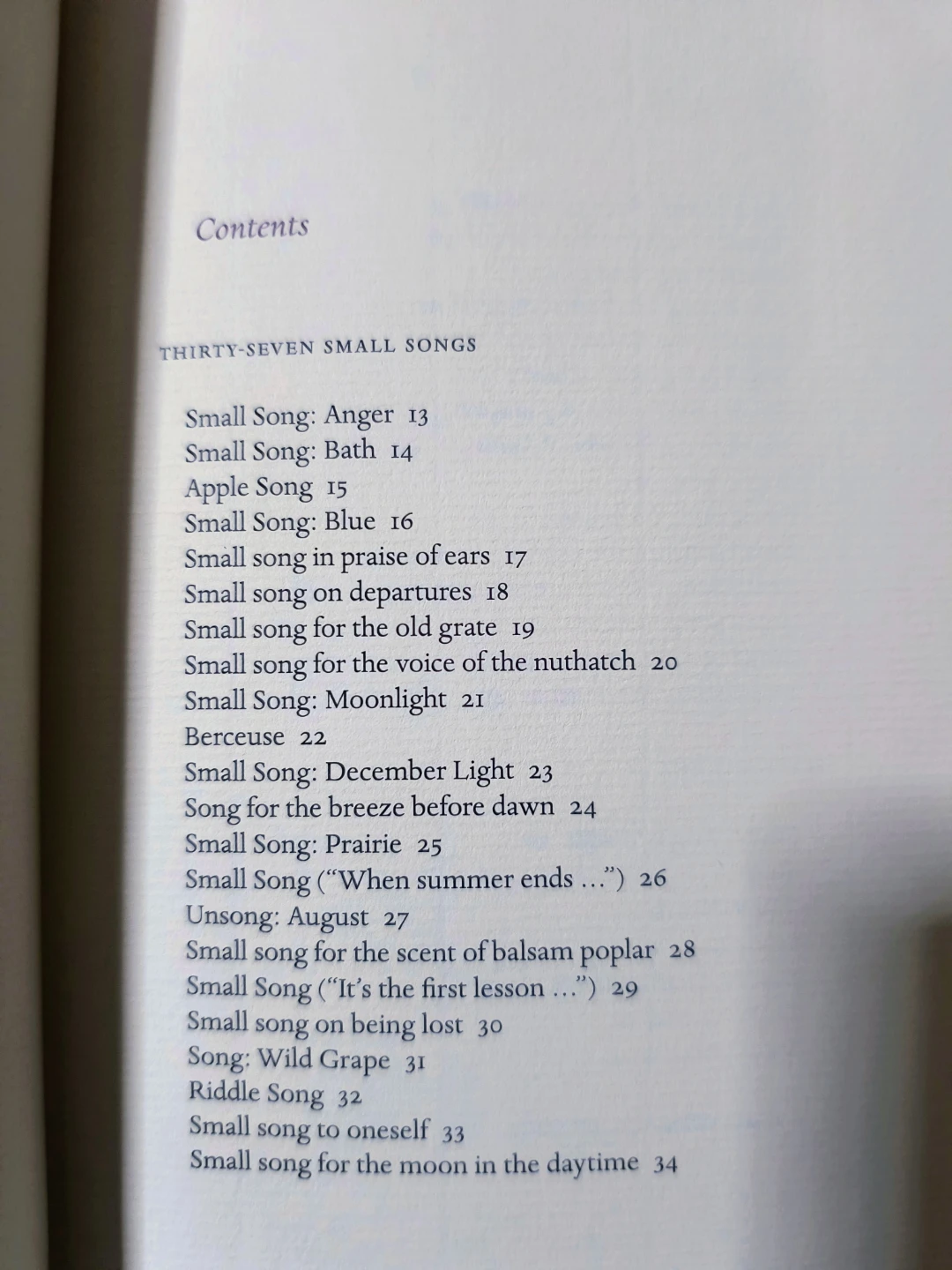 "Thirty-seven Small Songs & Thirteen Silences" - photo 4